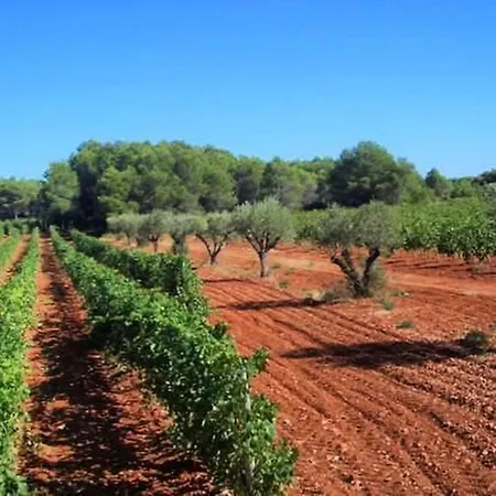 Chateau Saint Martin De La Garrigue * מונטניאק